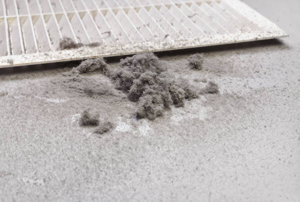 Best Ventilation Cleaning Services  in Seymour, TN