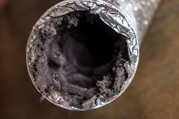 Best Commercial Air Duct Cleaning  in Seymour, TN