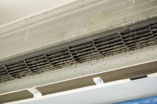 Best Air Duct Cleaning Near Me  in Seymour, TN