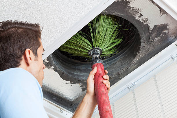 Best Residential Air Duct Cleaning  in Seymour, TN