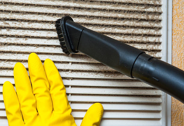 Best Air Vent Cleaning Services  in Seymour, TN